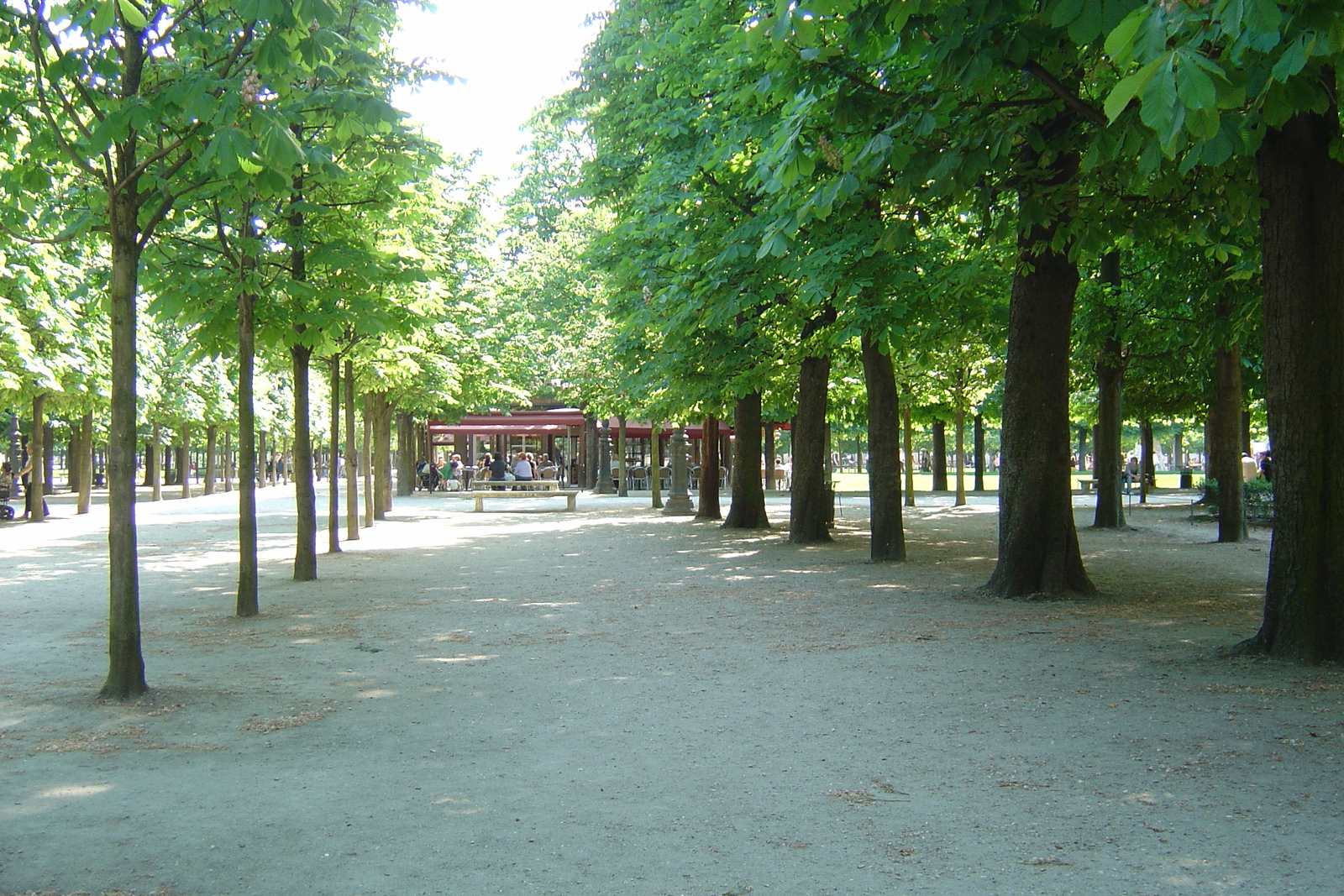 Photo France Paris Jardin des Tuileries 2007-05 352