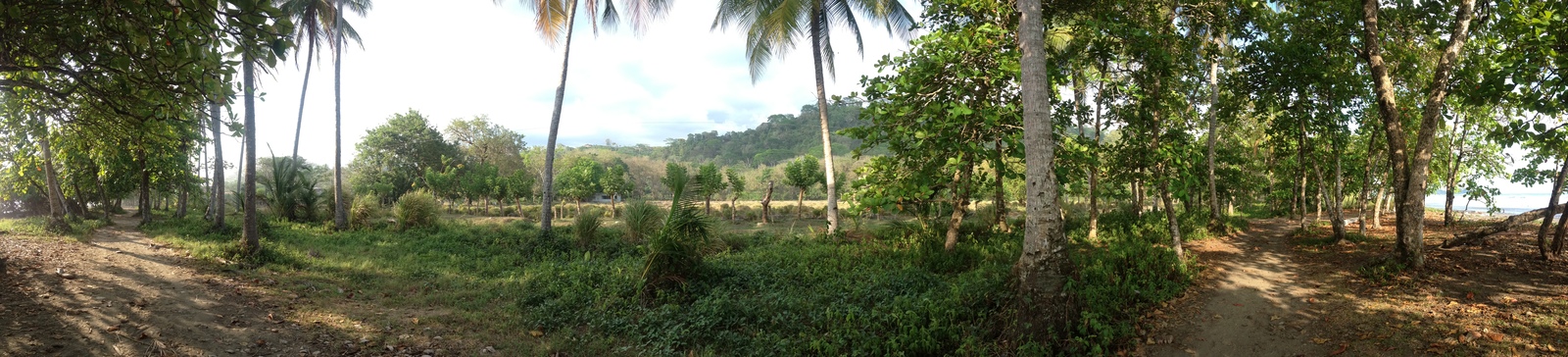 Photo Costa Rica Dominical 2015-03 59