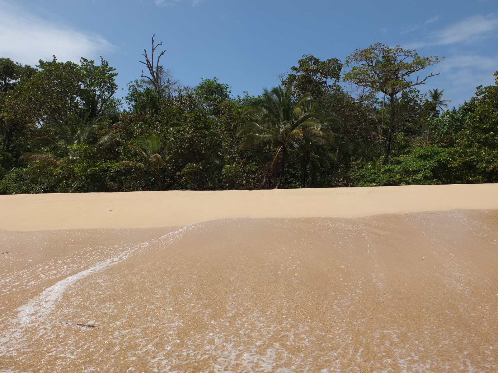 Photo Panama Bastimentos 2015-03 31