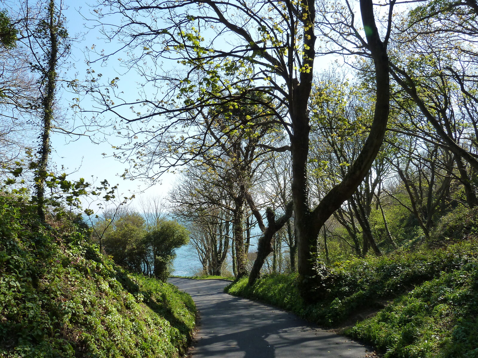 Photo Jersey 2010-04 162