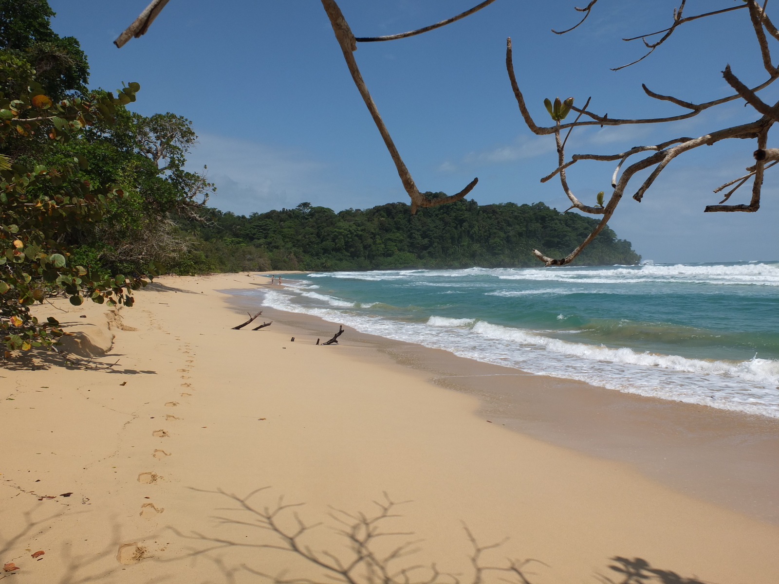 Photo Panama Bastimentos 2015-03 83