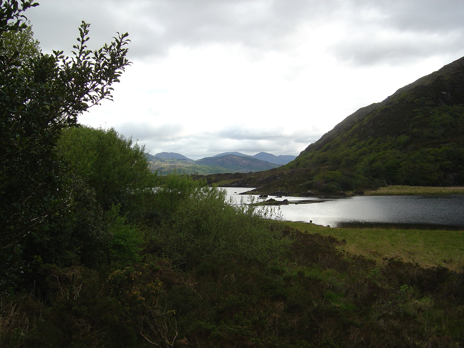 Photo Irlande Kerry Parc National de Killarney 2004-05 30