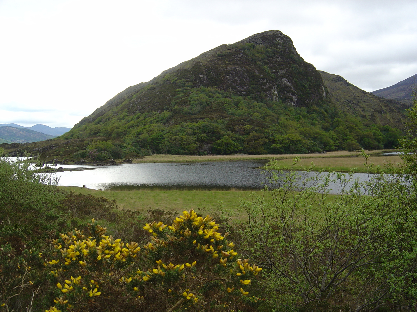 Photo Irlande Kerry Parc National de Killarney 2004-05 35