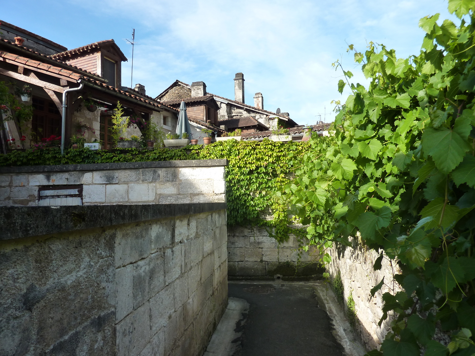 Photo France Brantome 2009-07 62