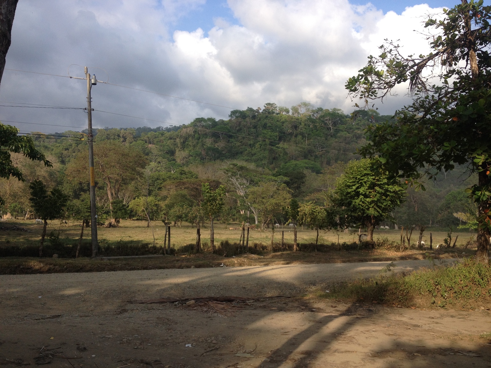 Photo Costa Rica Dominical 2015-03 125