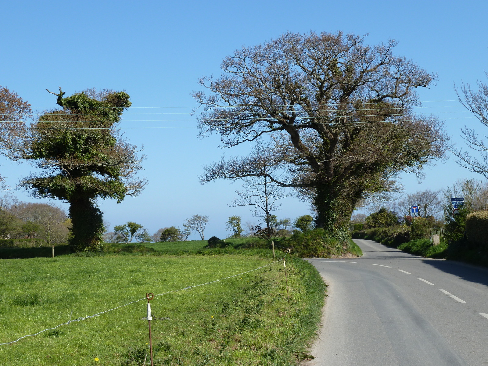 Photo Jersey 2010-04 108