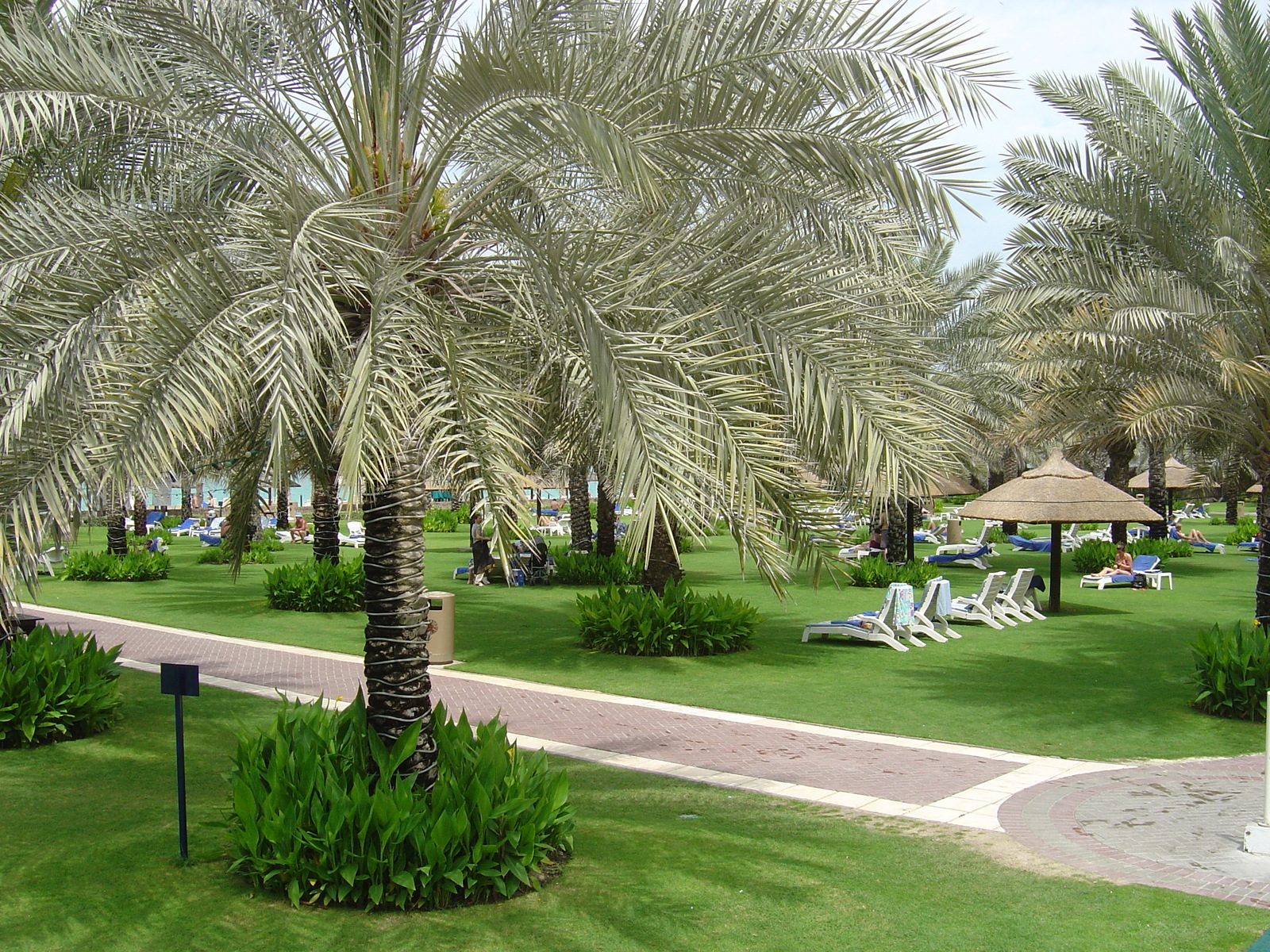 Photo Émirats arabes unis Dubai Hotel Sheraton Jumeira Beach 2005-03 24