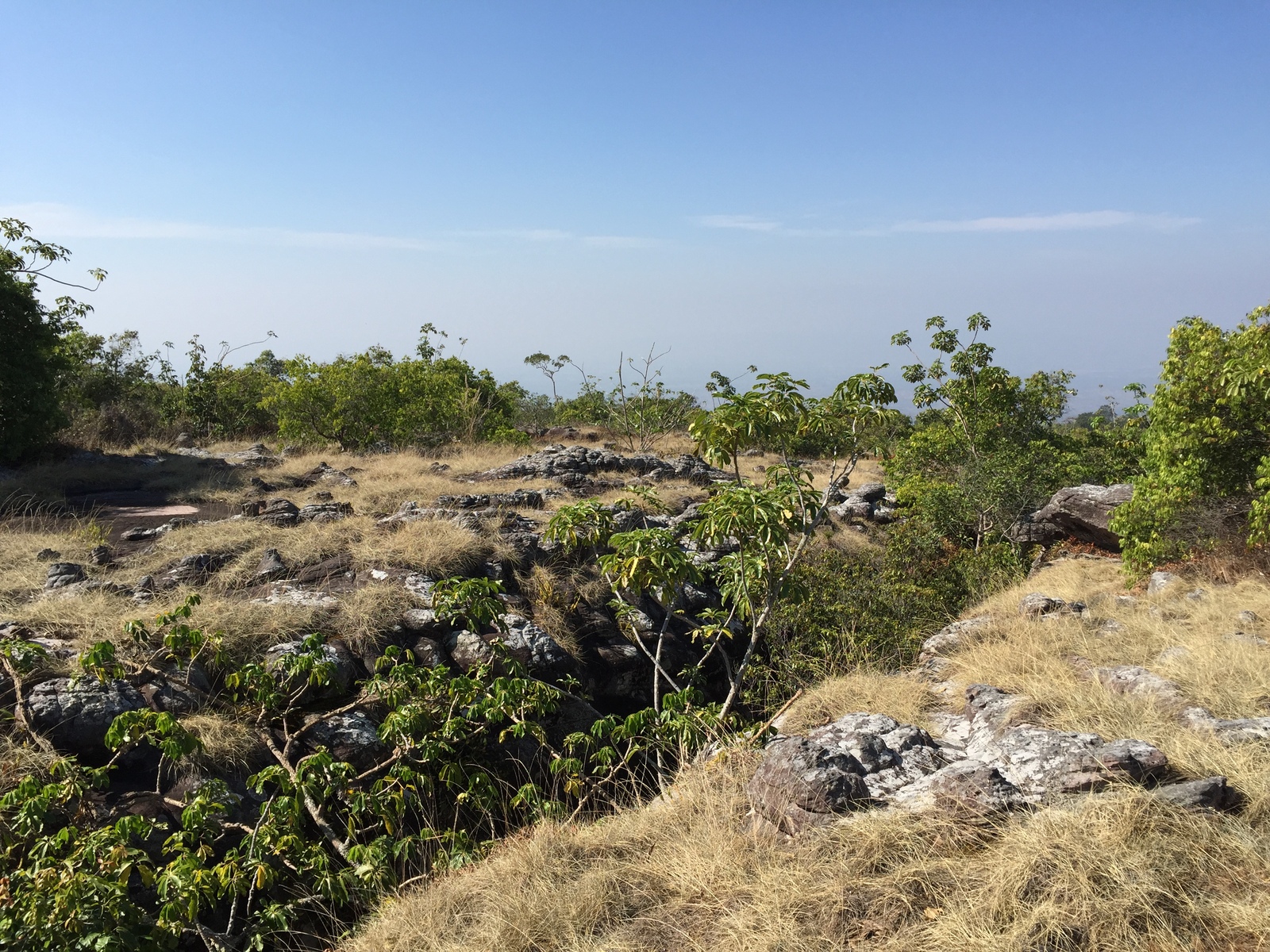 Photo Thaïlande Parc National Phu Hin Rong Kla 2014-12 73