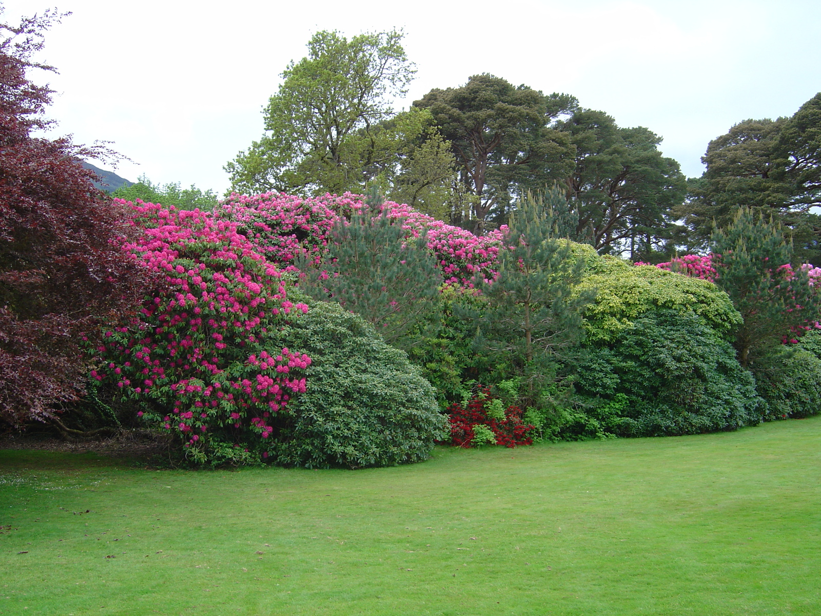 Photo Irlande Kerry Parc National de Killarney Muckross House 2004-05 9
