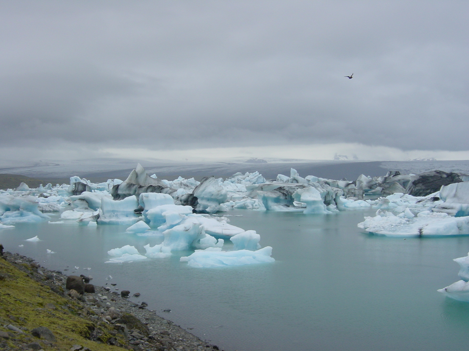 Photo Islande Jokulsarlon 2003-06 42