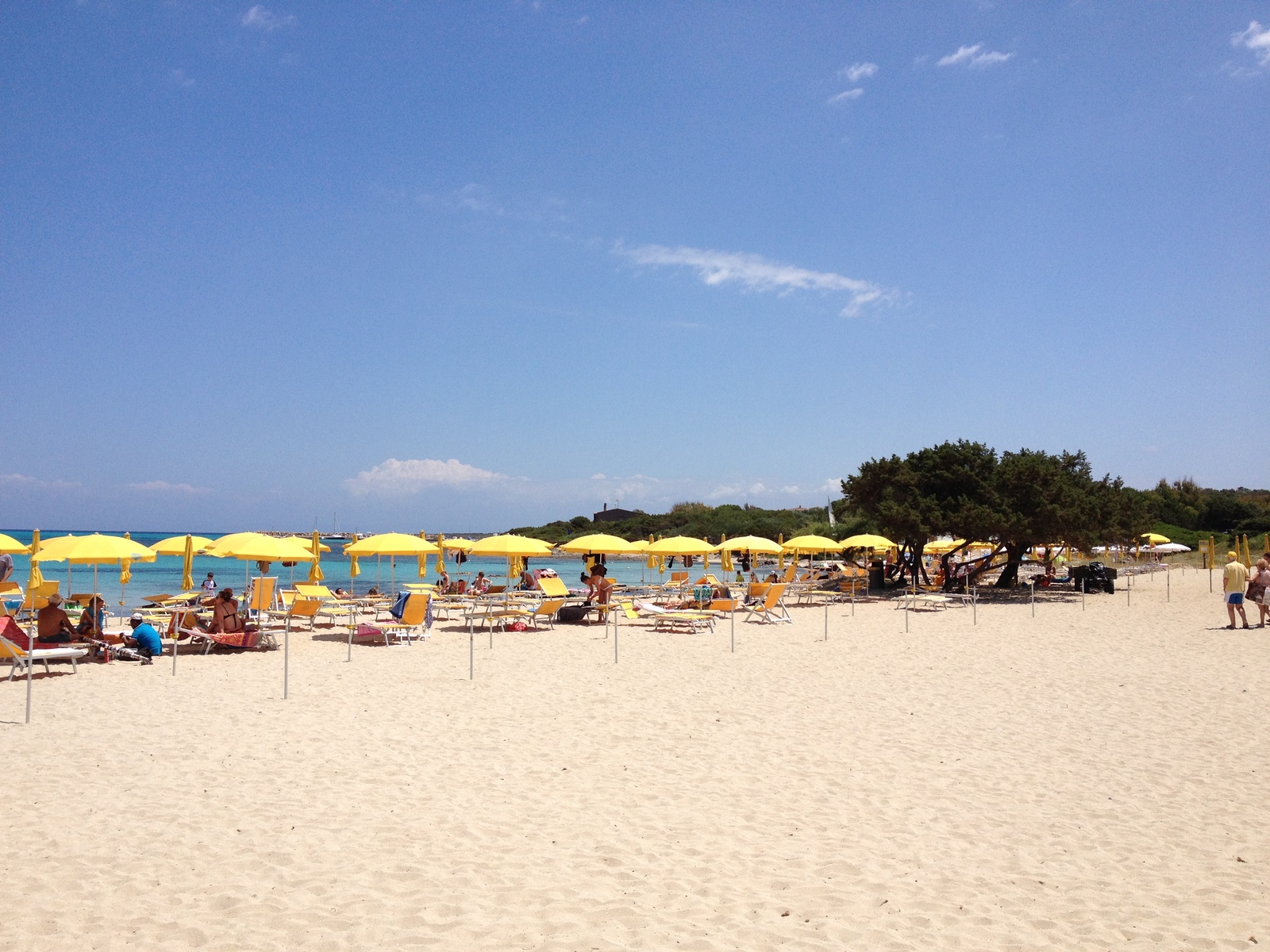 Photo Italie Sardaigne Capo del Falcone 2015-06 18