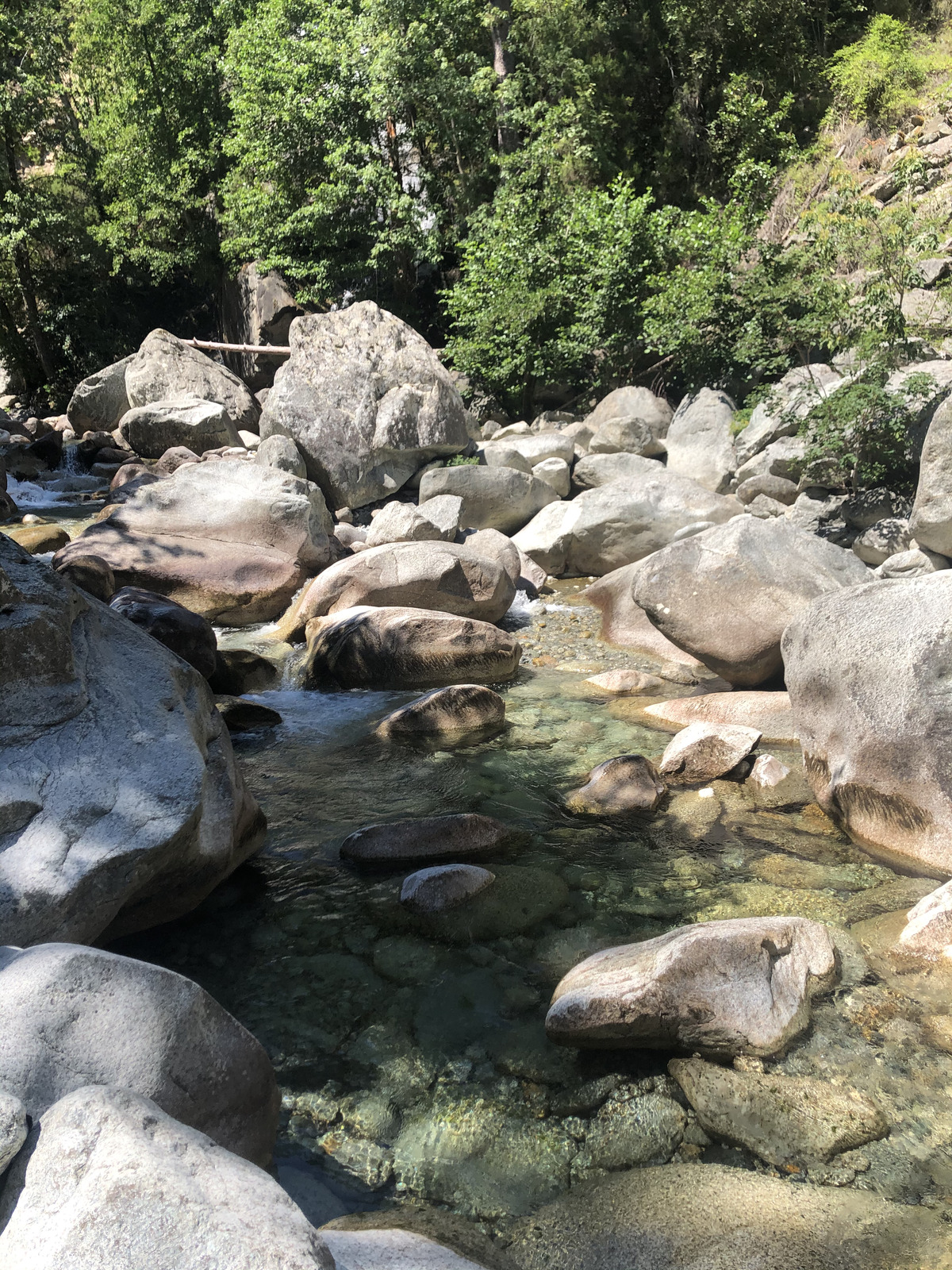 Photo France Corse La Restonica 2020-07 9