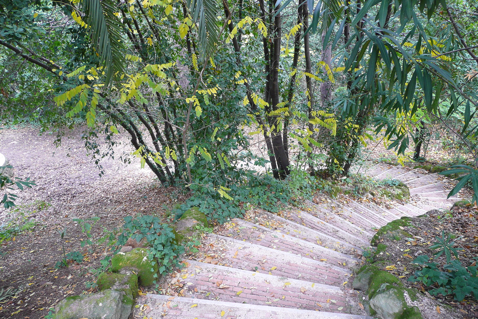 Photo Italie Rome Villa Sciarra 2007-11 36