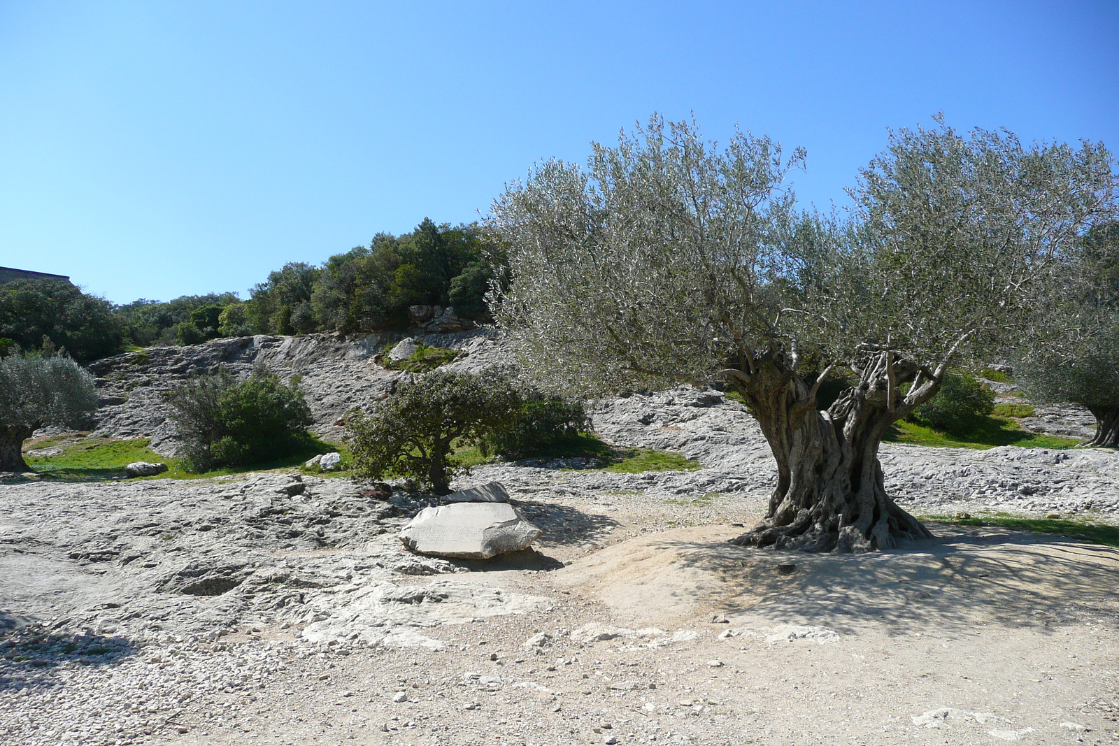 Photo France Pont du Gard 2008-04 86