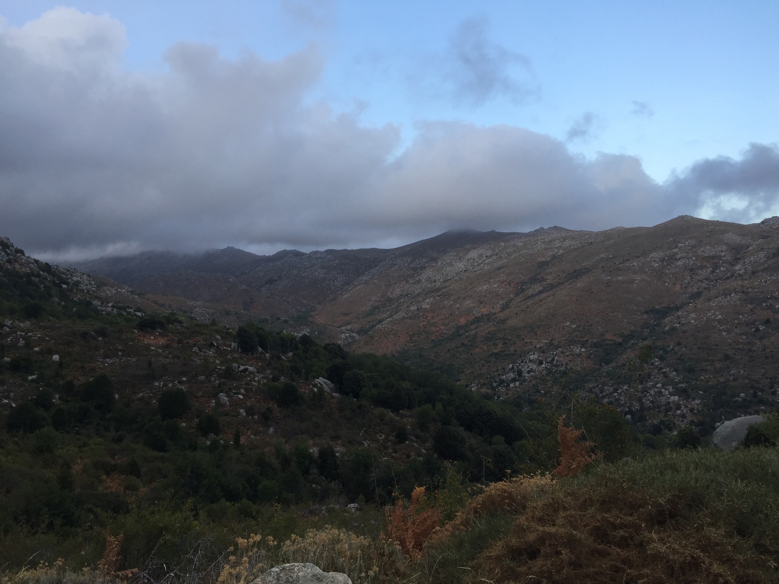 Photo France Corse Alta Rocca 2017-09 27