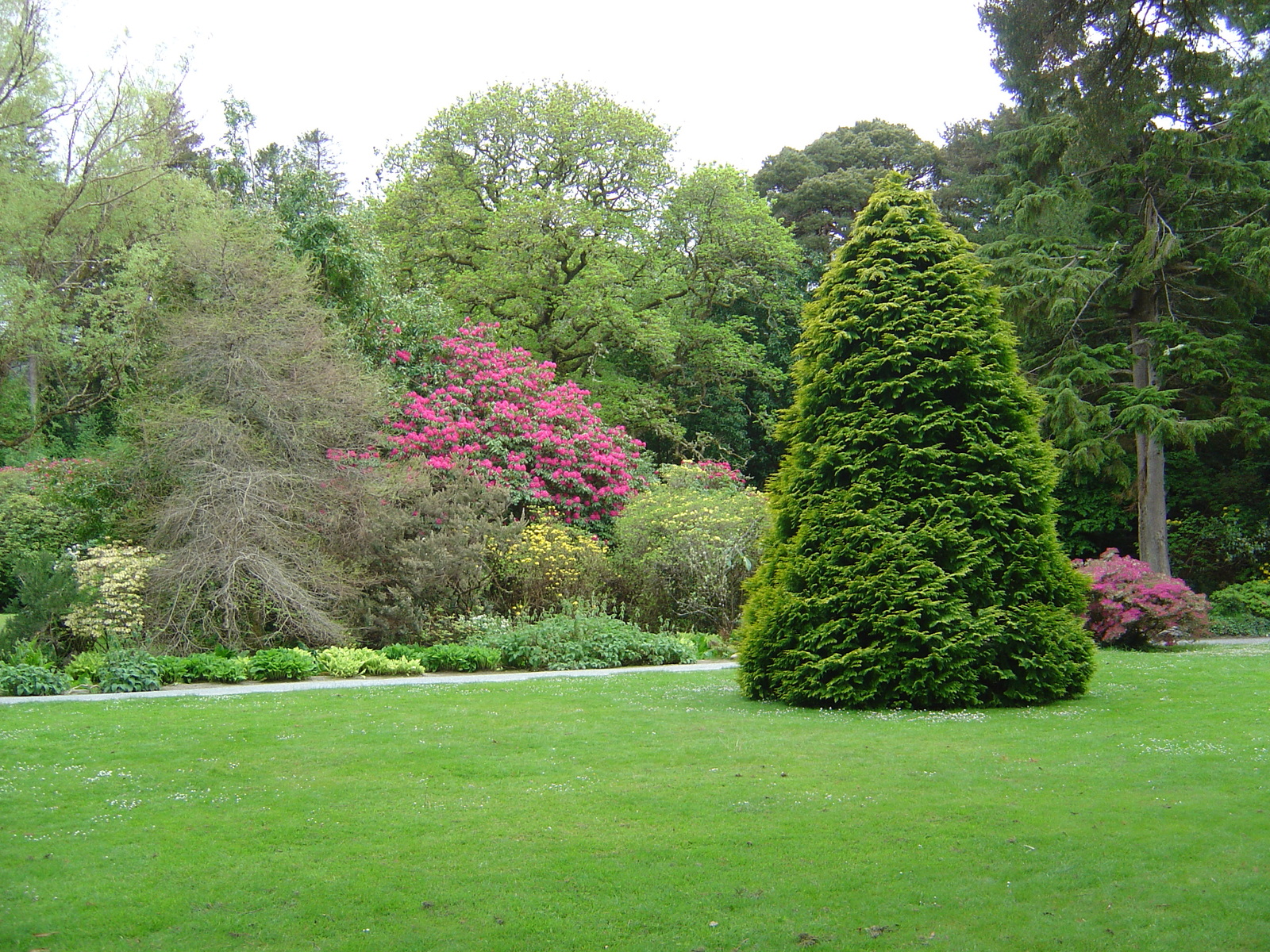 Photo Irlande Kerry Parc National de Killarney Muckross House 2004-05 39