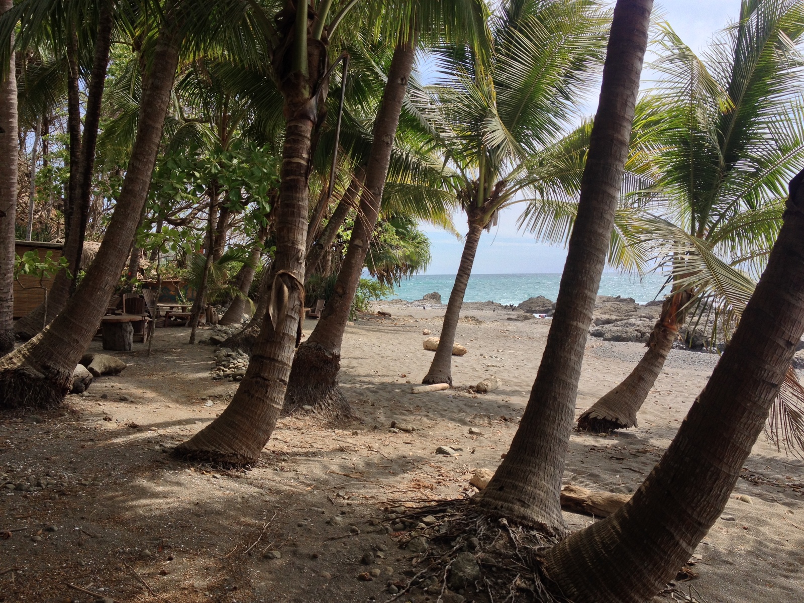 Photo Costa Rica Montezuma 2015-03 405