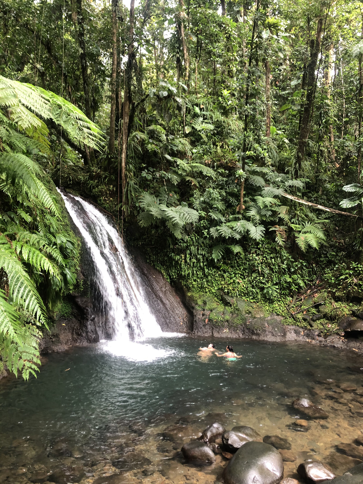 Photo Guadeloupe Cascade aux écrevisses 2021-02 0
