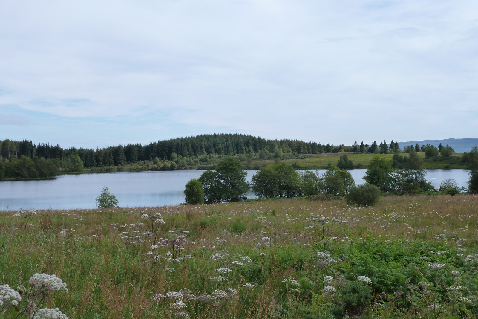 Photo Royaume-Uni Les Trossachs 2011-07 127