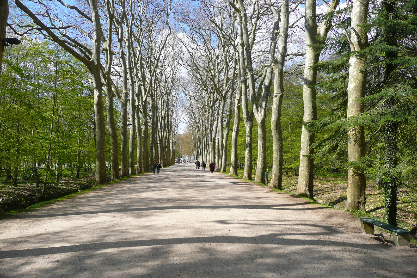 Photo France Château de Chenonceau Jardins de Chenonceau 2008-04 1