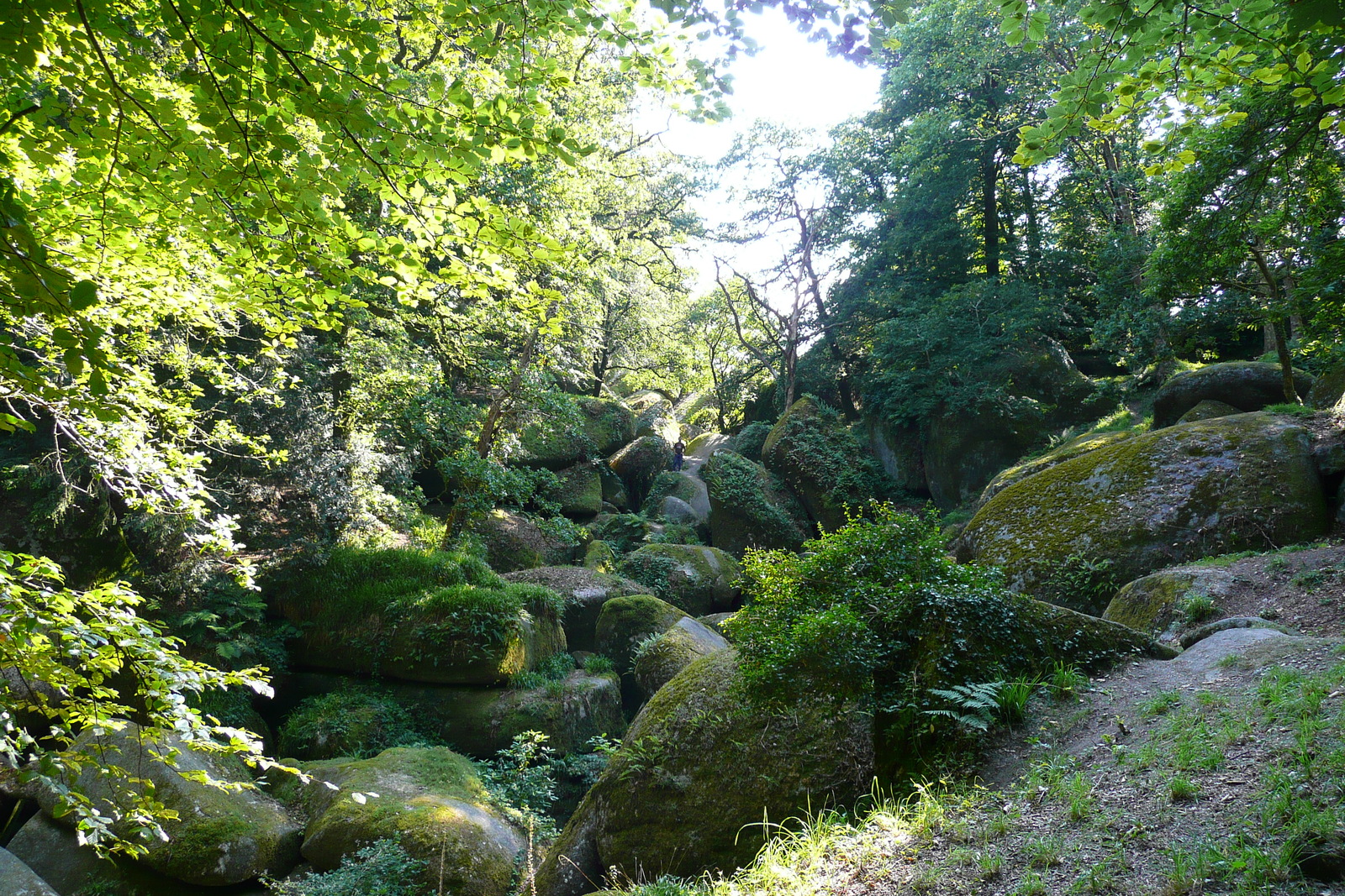 Photo France Huelgoat 2007-08 67