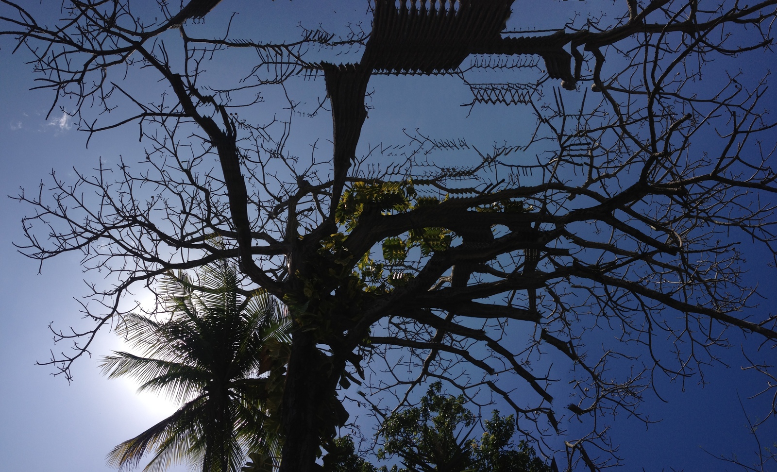 Photo Panama San Carlos 2015-03 65