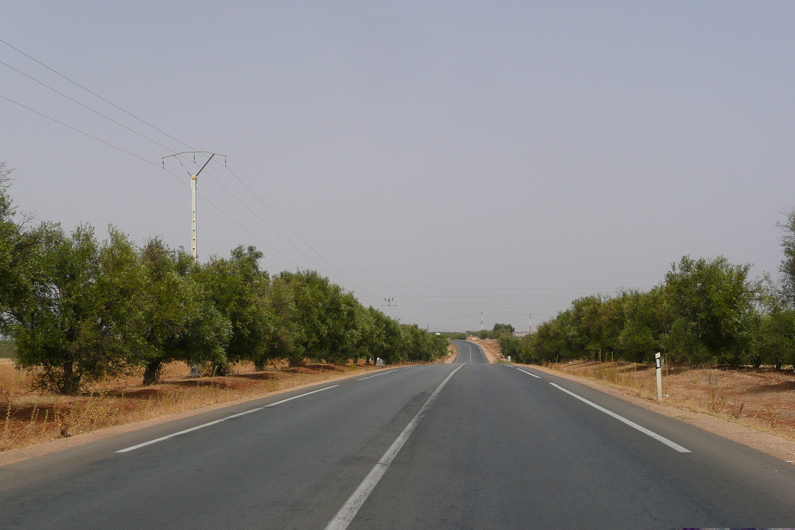 Photo Maroc Route de Fez à Rabat 2008-07 29