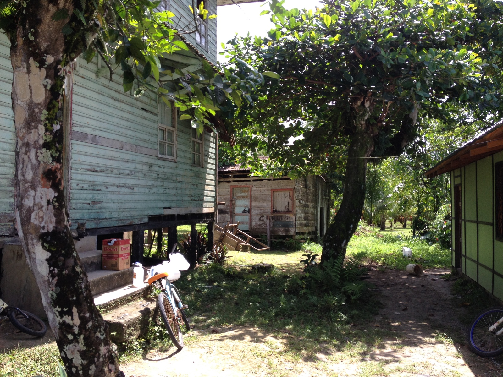 Photo Costa Rica Cahuita 2015-03 226