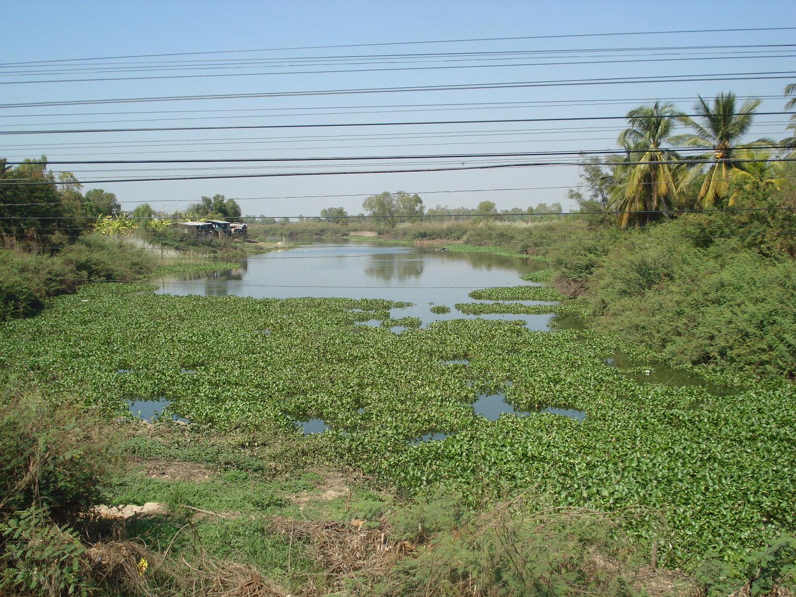 Photo Thaïlande Phitsanulok rue Mittraparp 2008-01 23