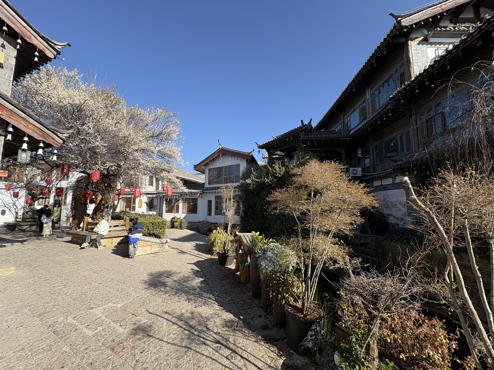 Photo Chine Lijiang 2026-01 703