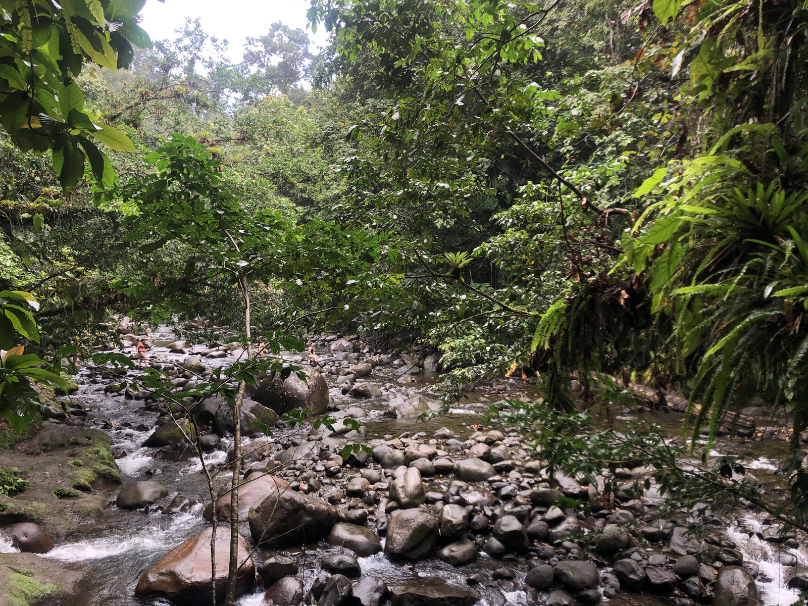 Photo Guadeloupe Cascade aux écrevisses 2021-02 25