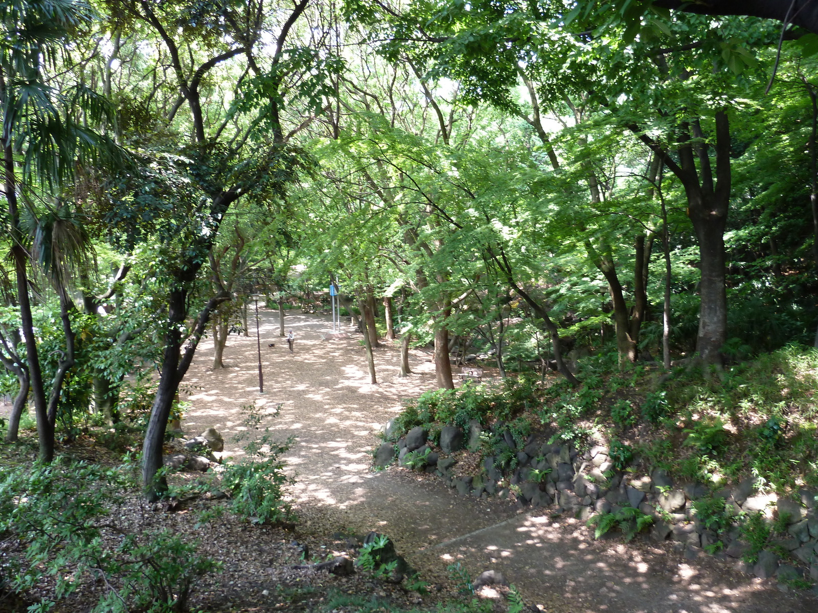 Photo Japon Tokyo Parc Shiba 2010-06 66