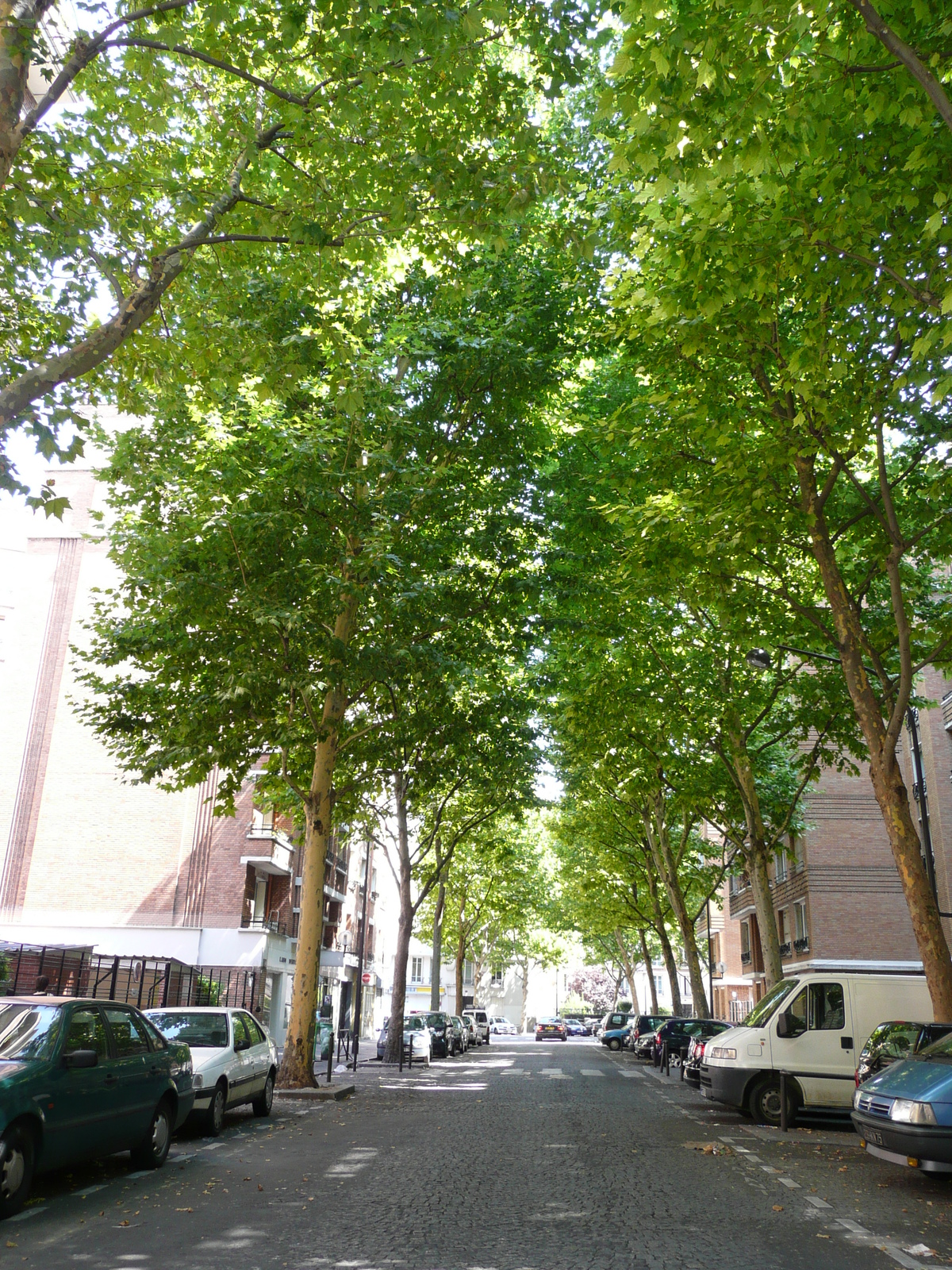 Photo France Paris Maréchaux ouest de Paris 2007-08 22