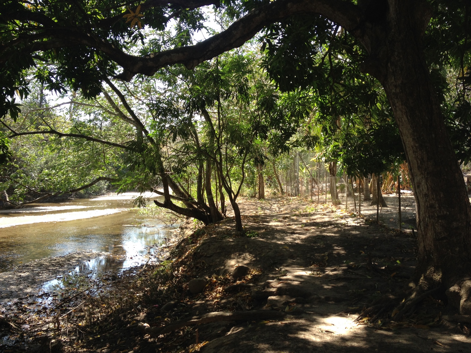 Photo Panama San Carlos 2015-03 53