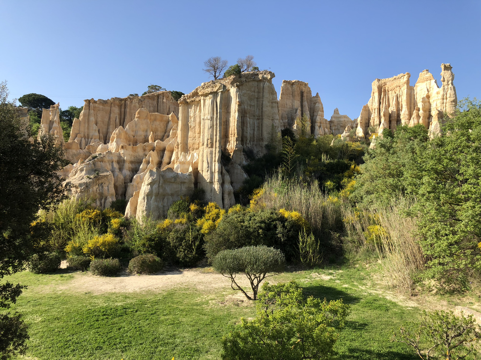 Photo France Orgues d'Ille Sur Tet 2018-04 8