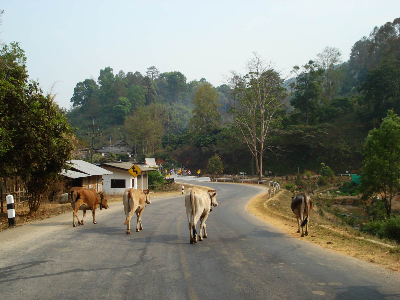 Photo Thaïlande Route de Chiang Mai à Pai 2007-02 64