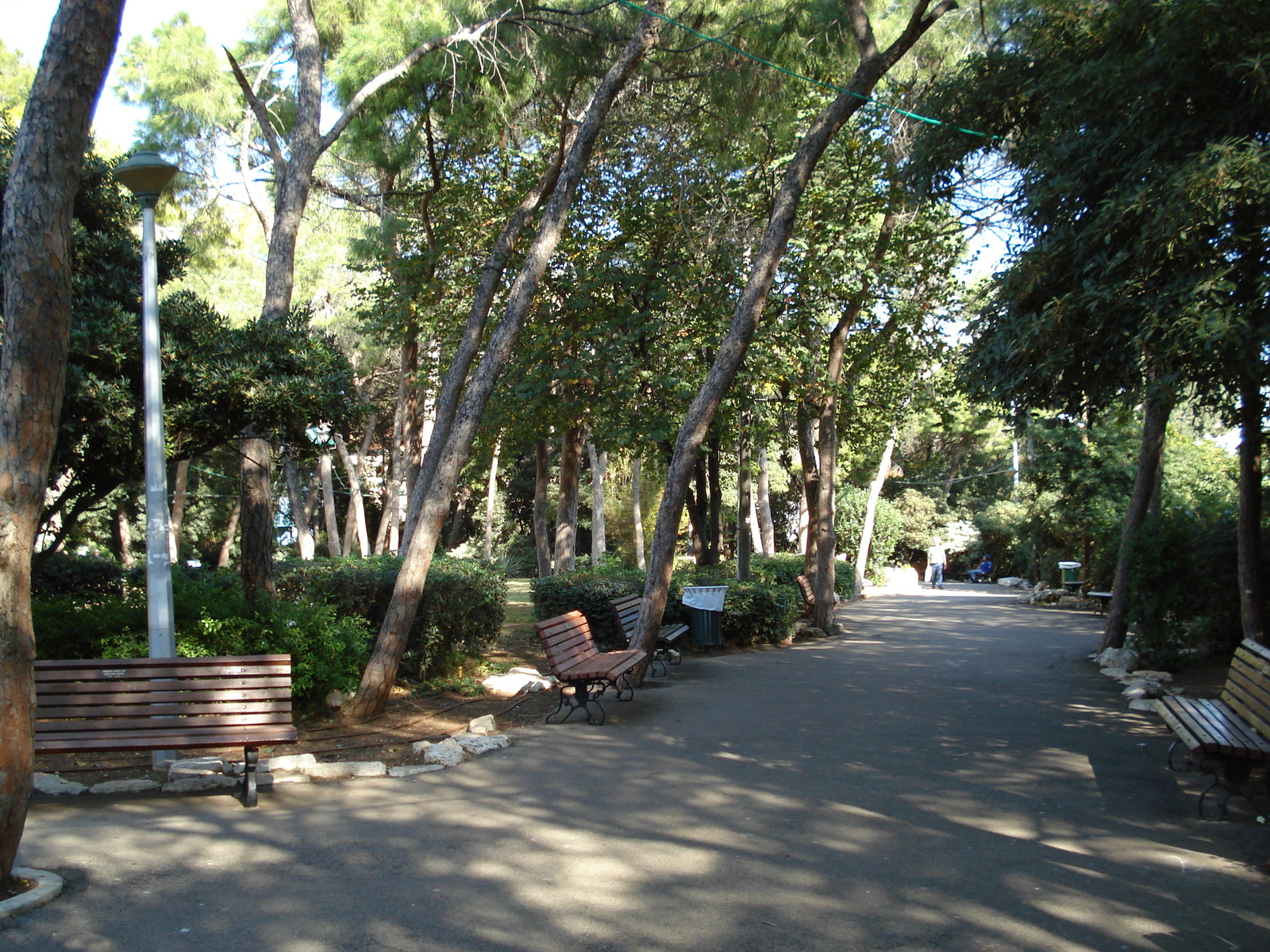 Photo Israel Haifa Carmel 2006-12 6