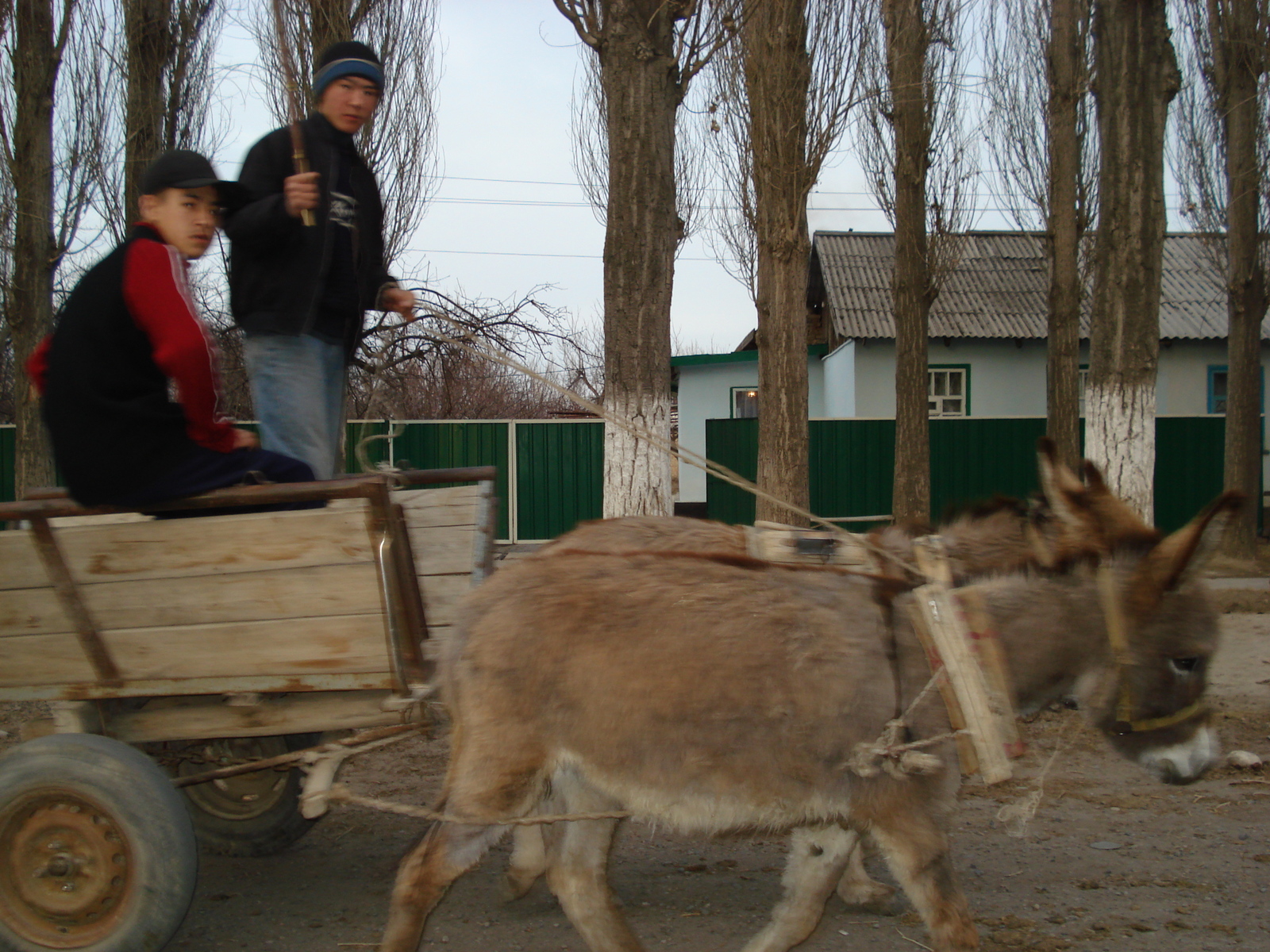 Photo Kazakhstan Route d'Almaty au canyon de Charyn 2007-03 150