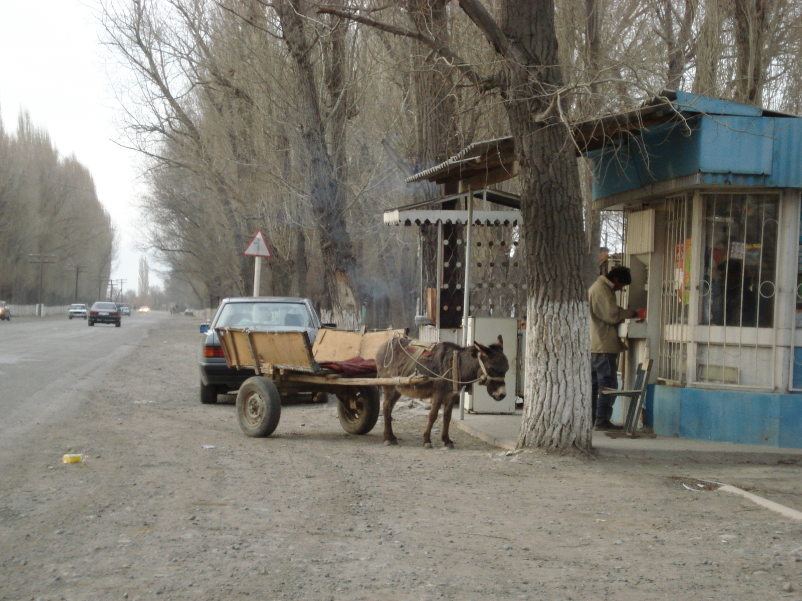 Photo Kazakhstan Route d'Almaty au canyon de Charyn 2007-03 141