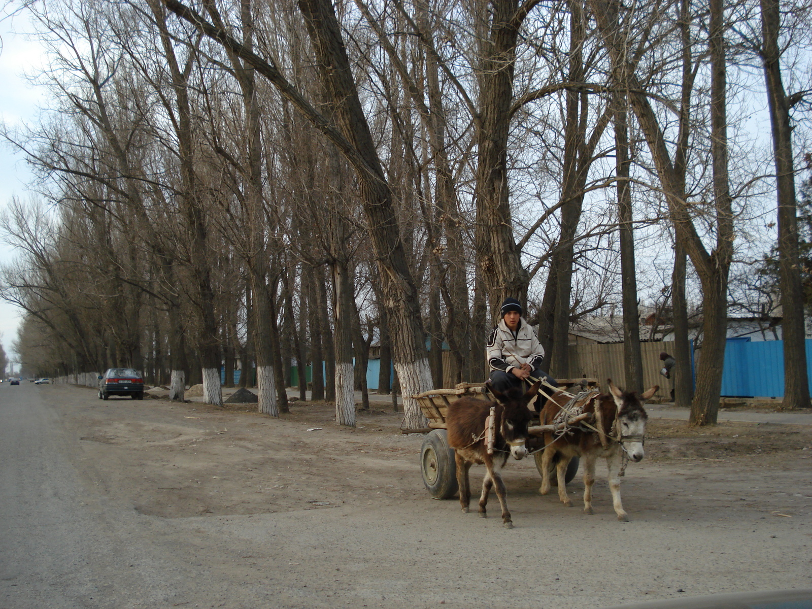 Photo Kazakhstan Route d'Almaty au canyon de Charyn 2007-03 71
