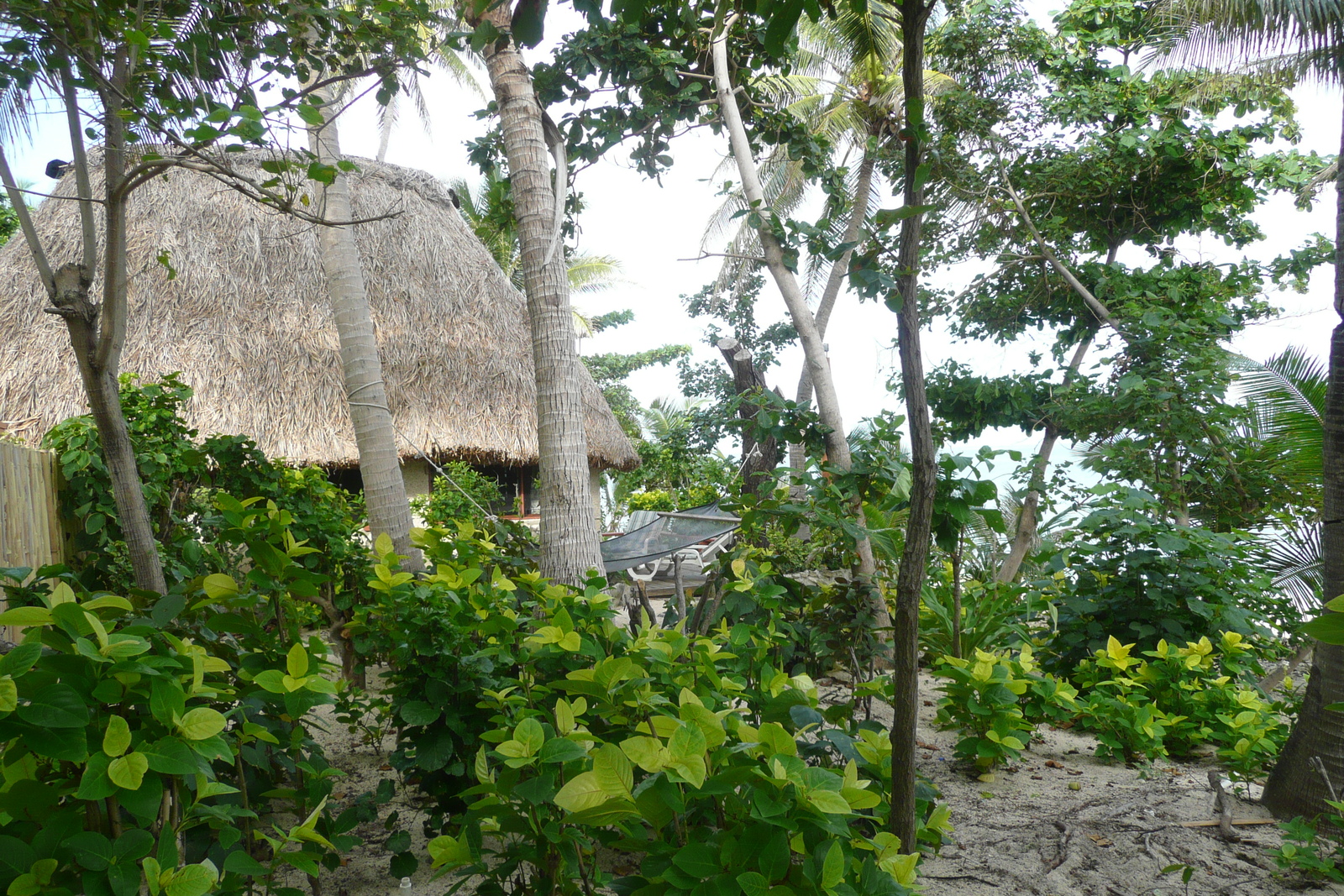 Photo Îles Fidji île Beachcomber 2010-05 33