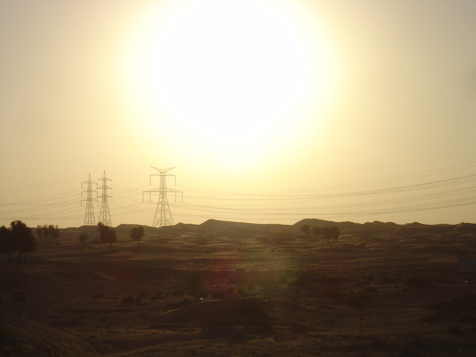 Photo Émirats arabes unis Al Ain Desert 2005-11 20