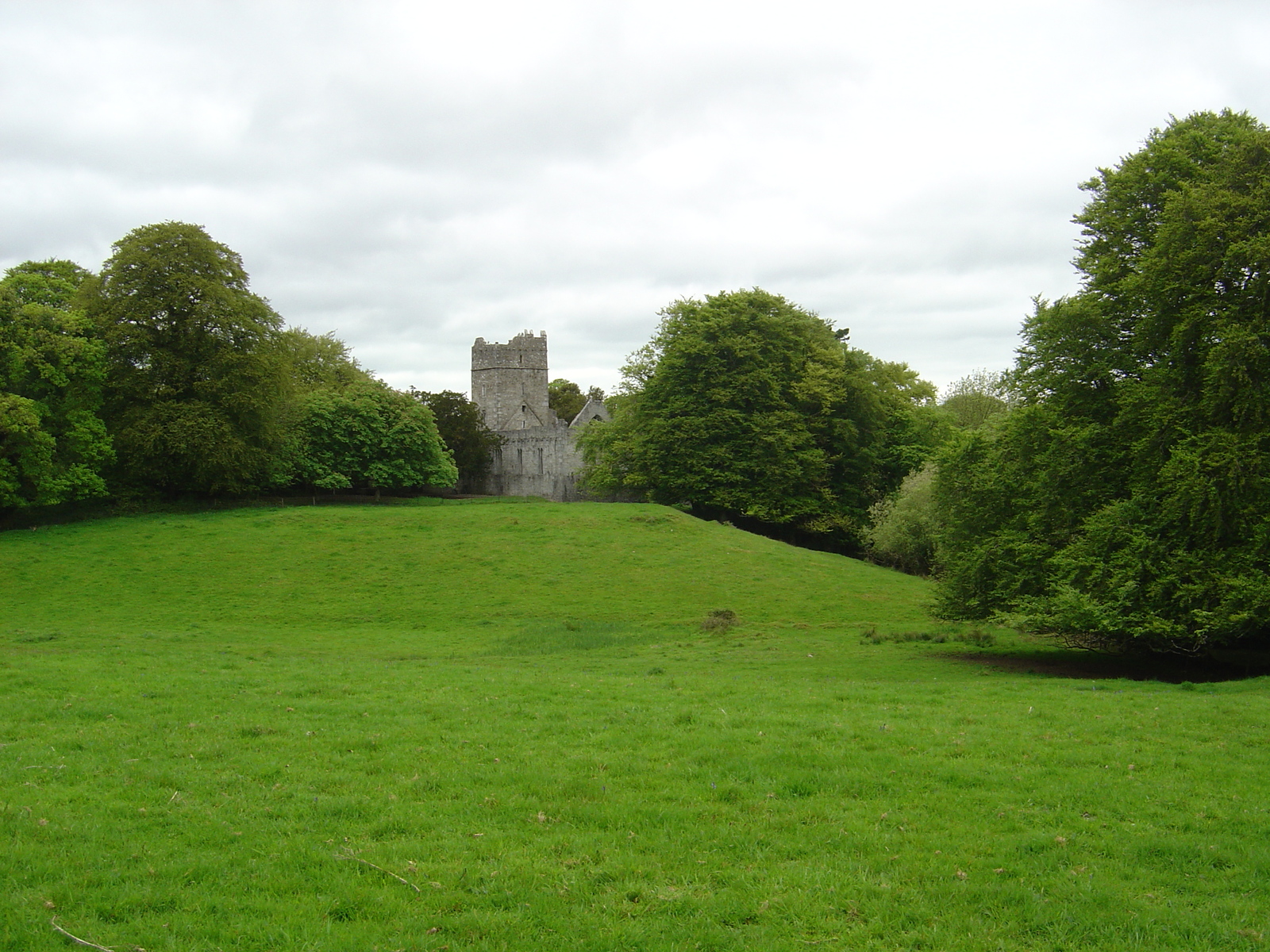 Photo Irlande Kerry Parc National de Killarney Muckross Lake 2004-05 18