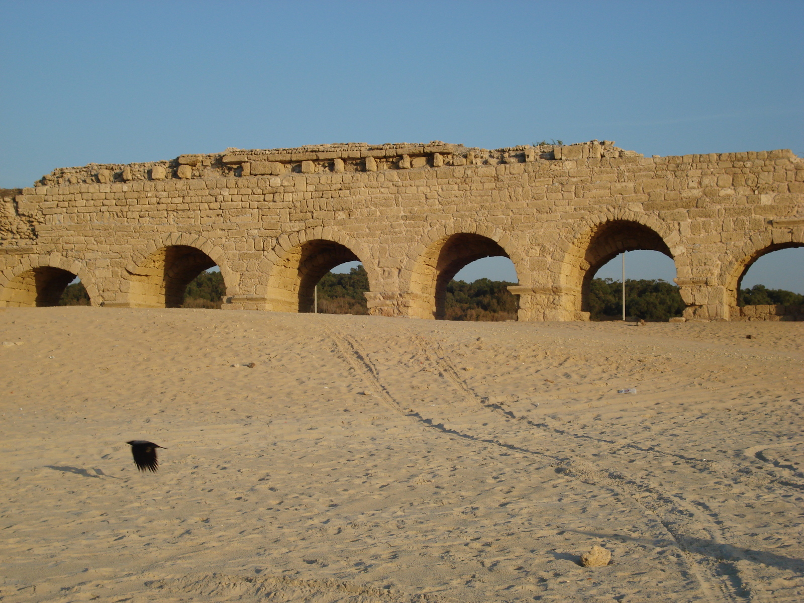Photo Israel Caesarea 2006-12 171