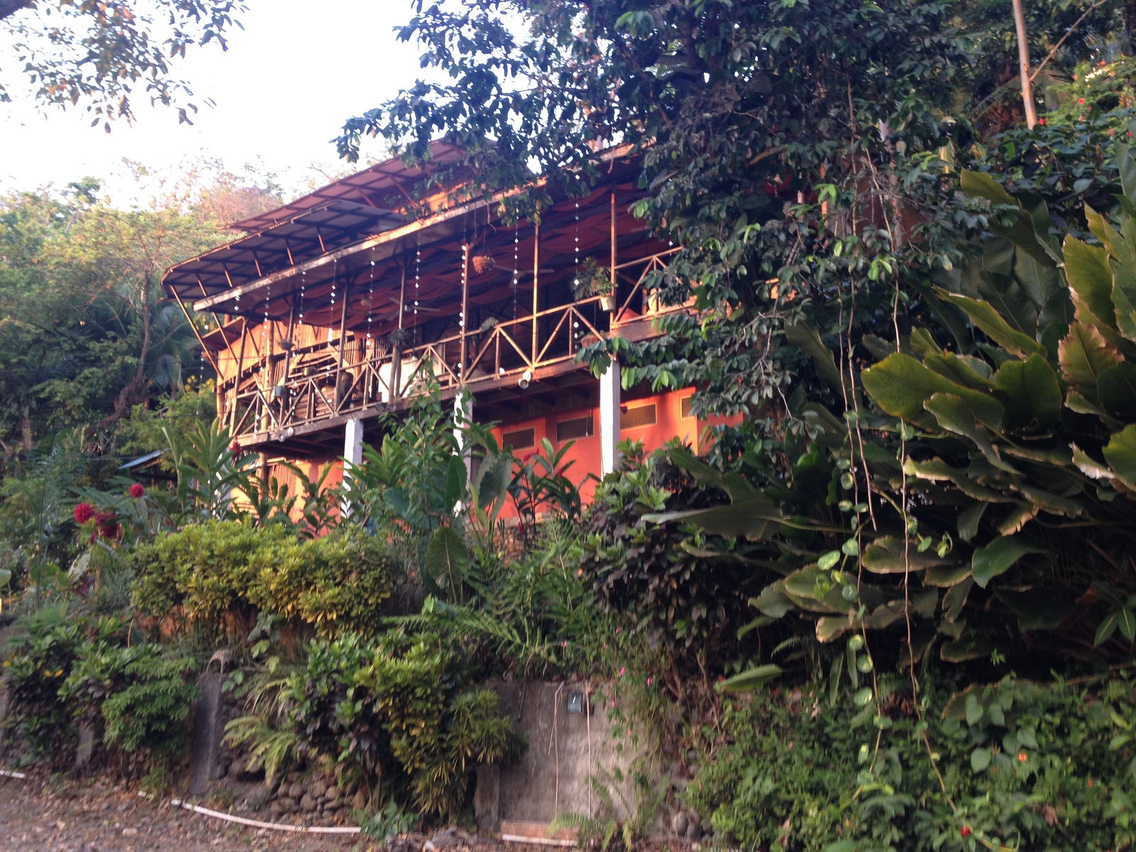 Photo Costa Rica Parc Manuel Antonio 2015-03 463