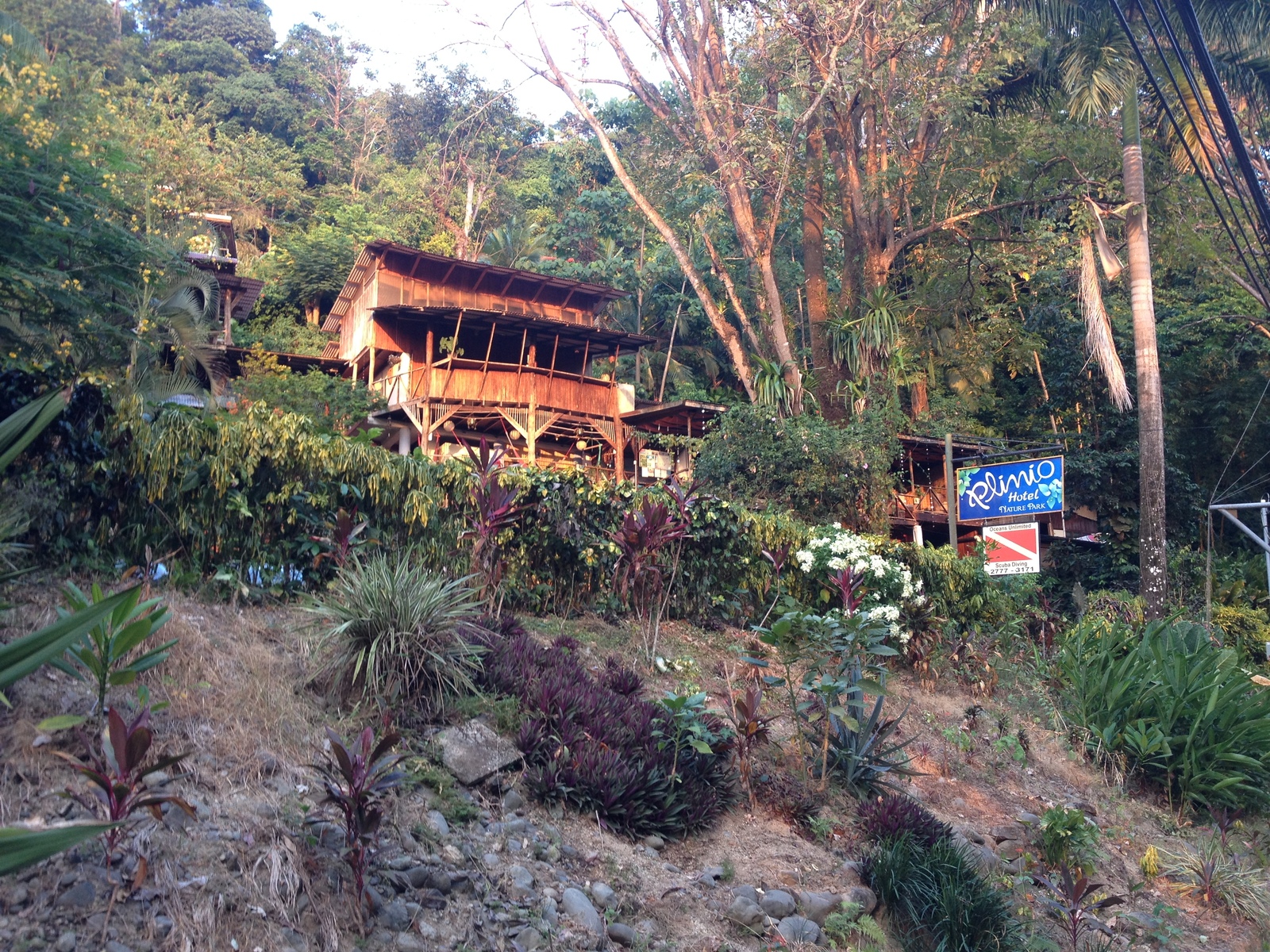 Photo Costa Rica Parc Manuel Antonio 2015-03 405
