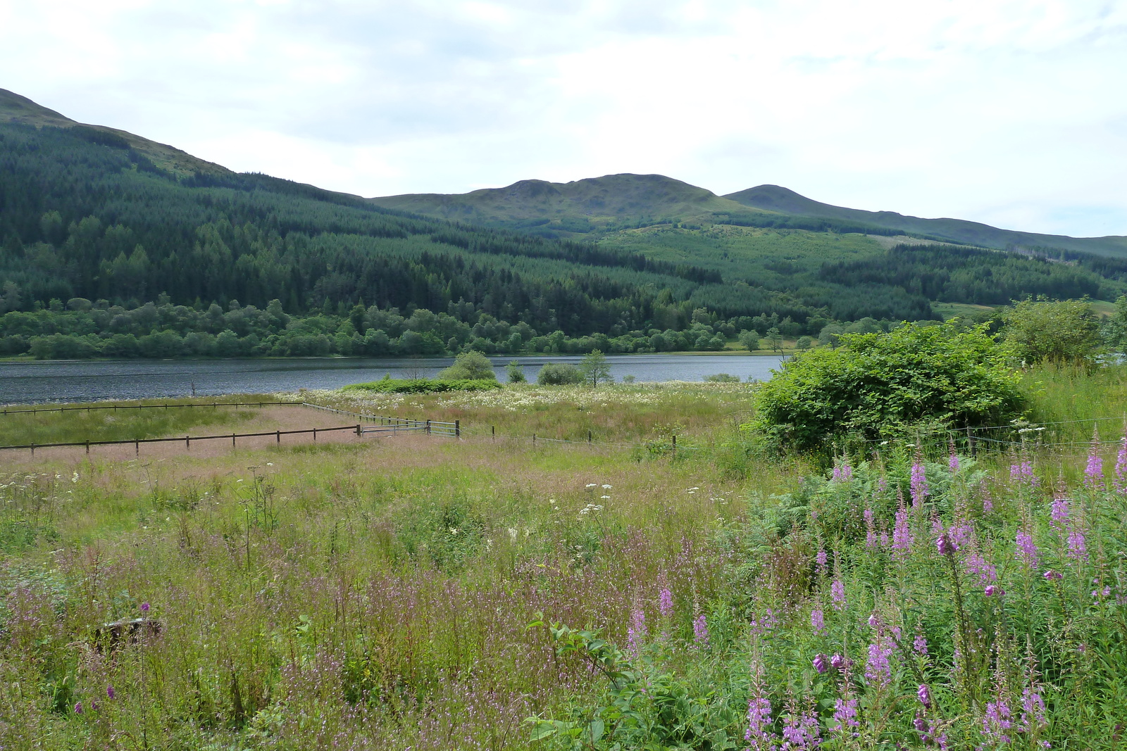 Photo Royaume-Uni Les Trossachs 2011-07 115