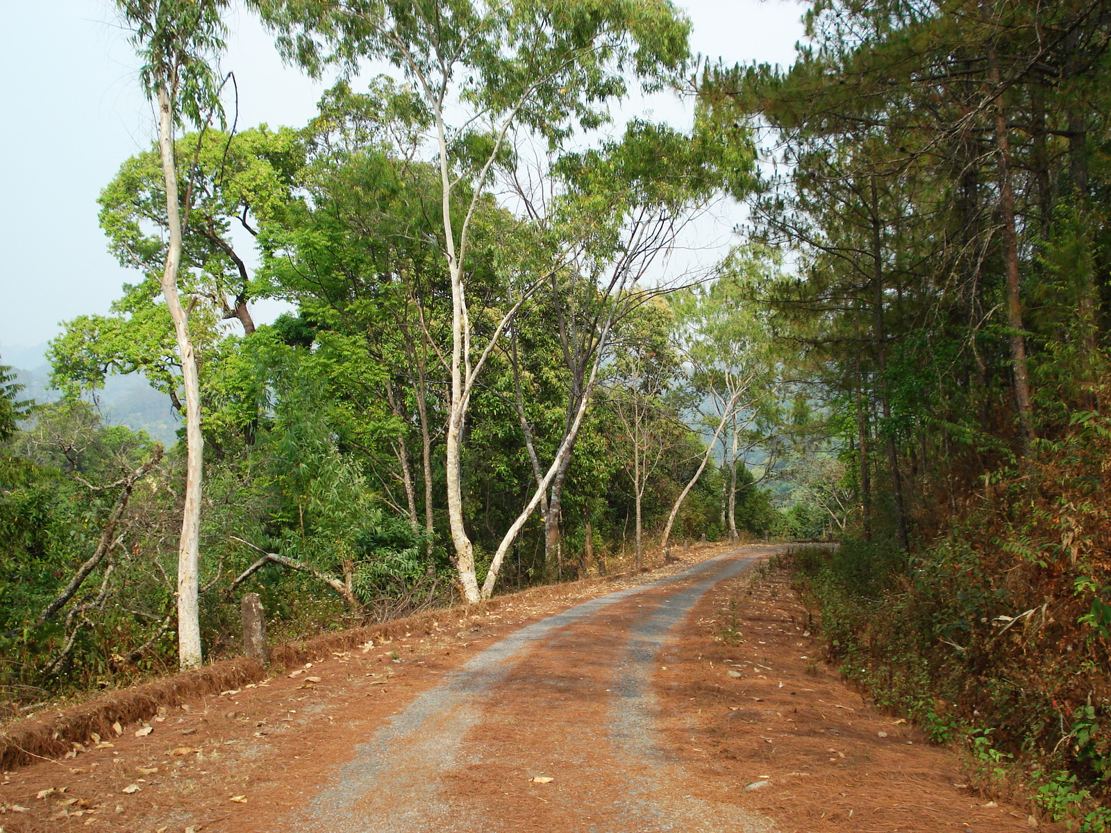 Photo Thaïlande Route de Chiang Mai à Pai 2007-02 124