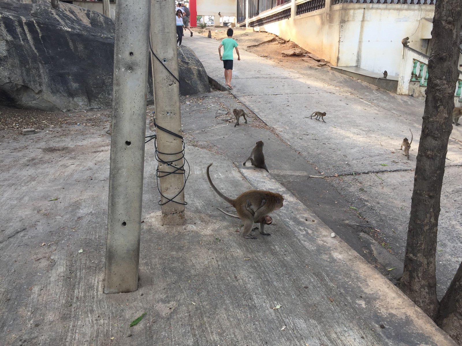 Photo Thaïlande Hua hin 2016-01 11