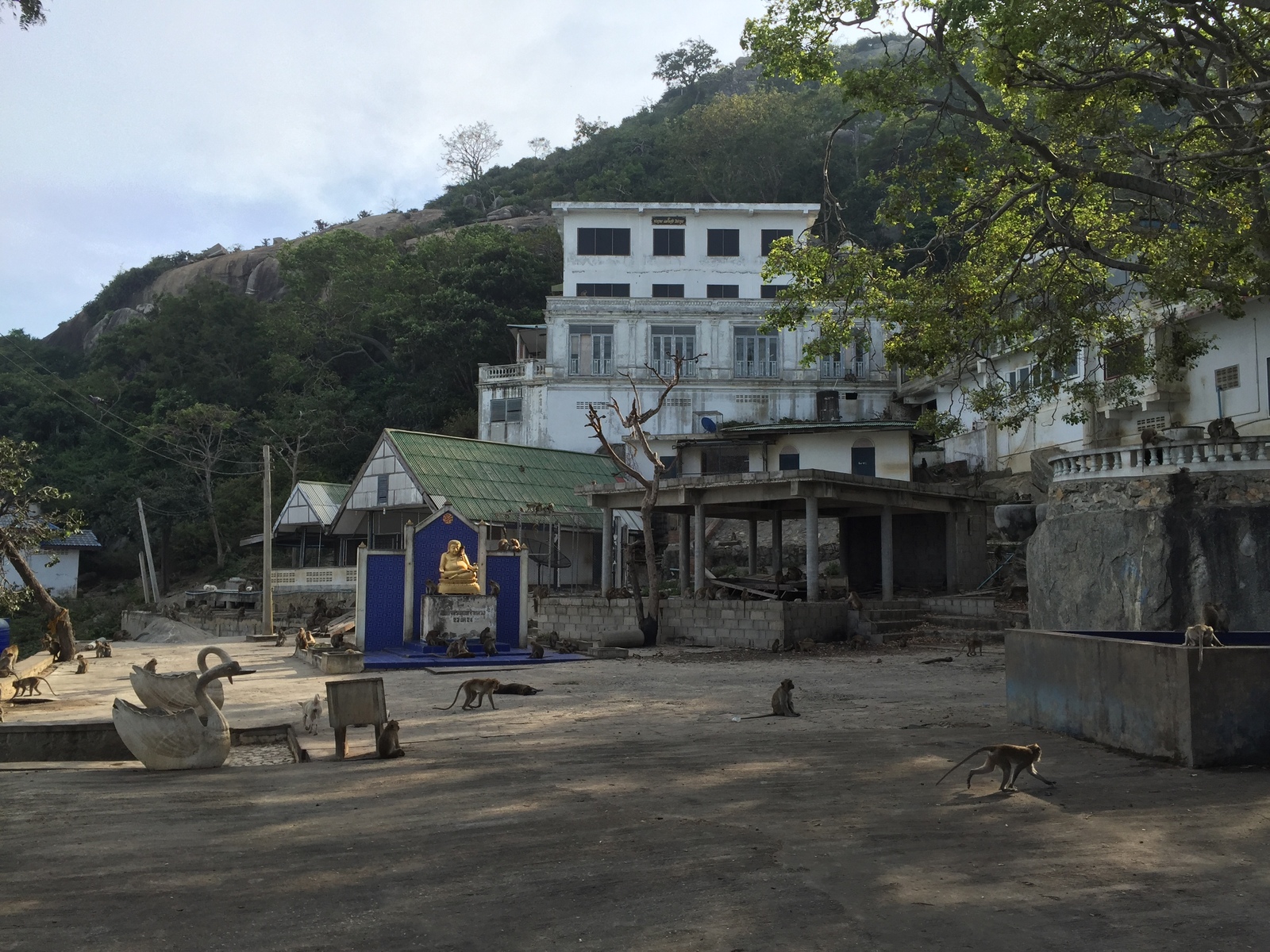 Photo Thaïlande Hua hin 2016-01 30